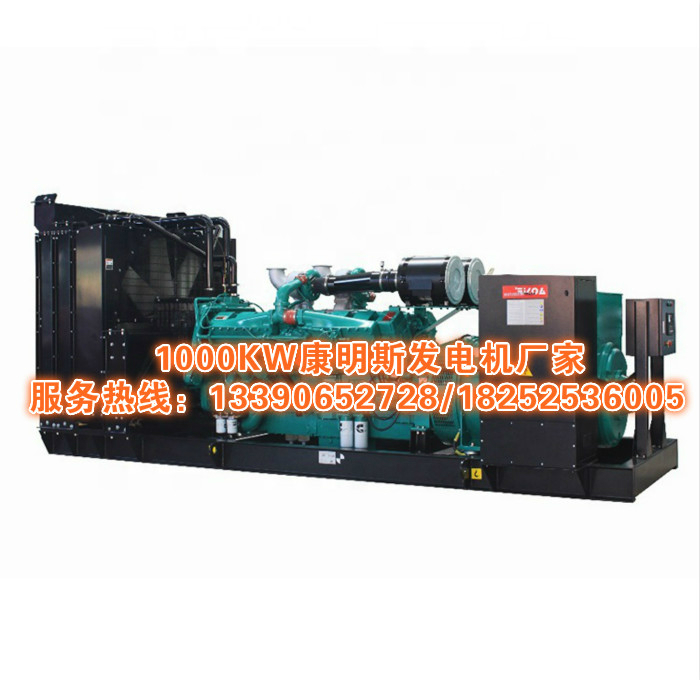 1000KW康明斯發電機廠家